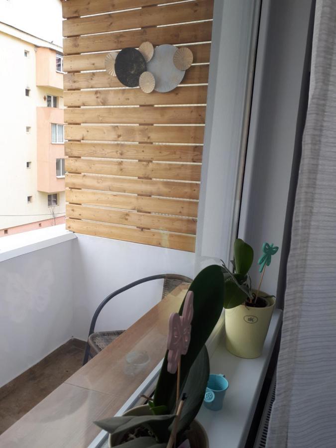 סיביו Angel Residence מראה חיצוני תמונה